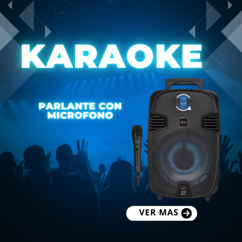 sección karaokes